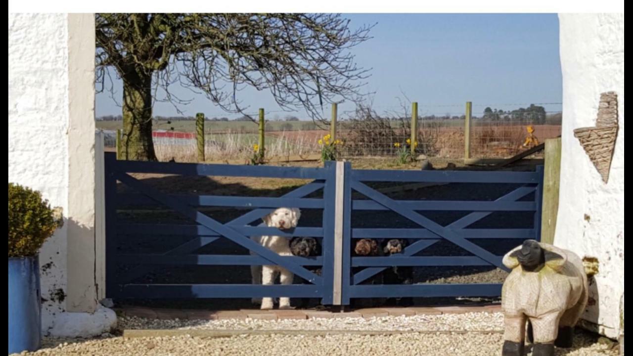 Crofthead Farm House Tarbolton エクステリア 写真